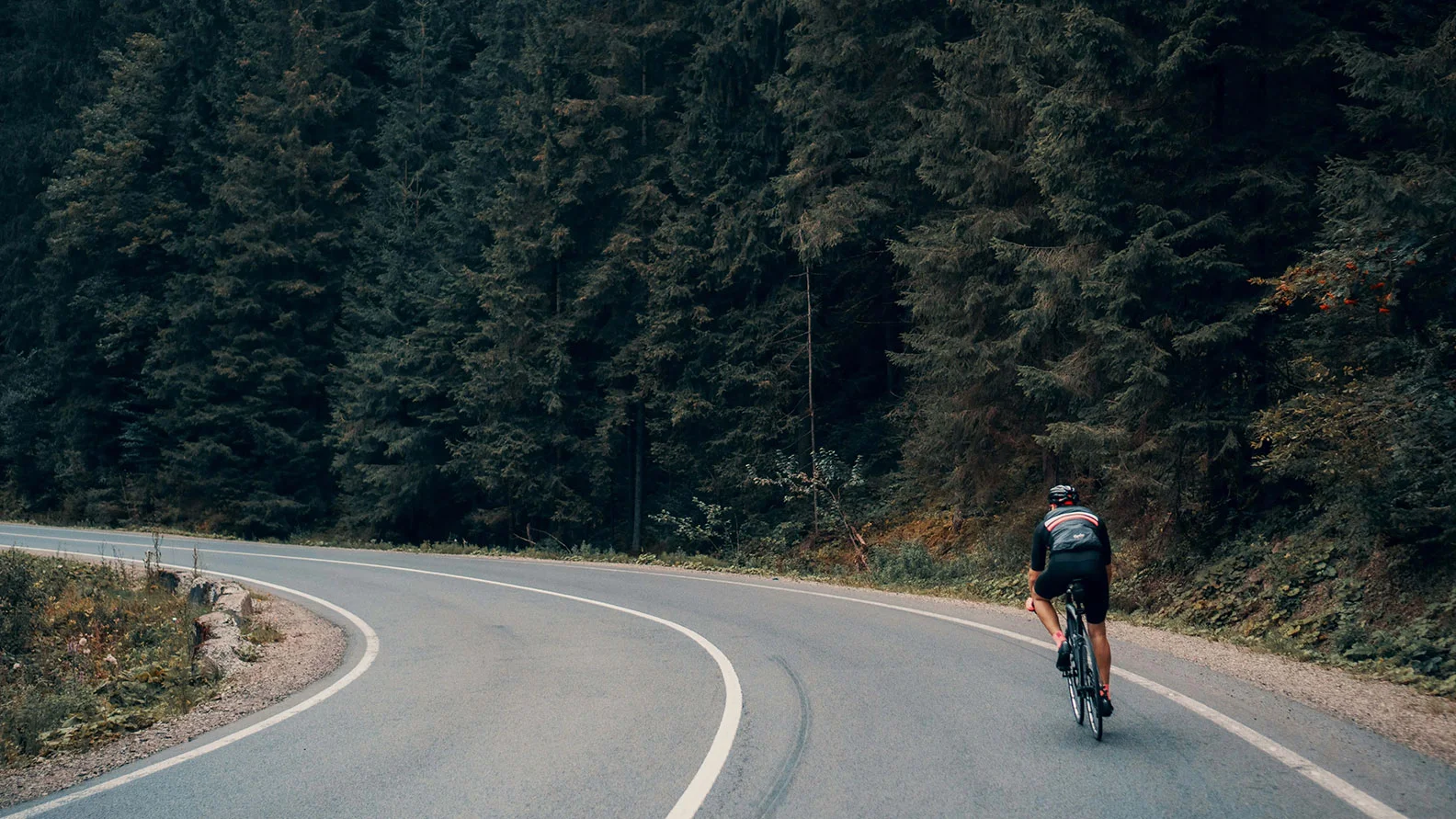 man biking in the woods going down a paved road