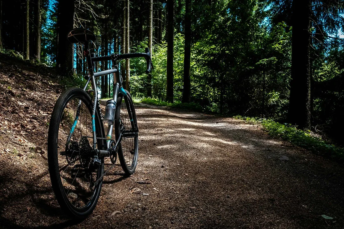 Bike in the woods standing upright on a trail